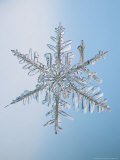 Snowflake, Close Up Photographic Print by Ted Kinsman