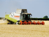 Combine Harvester, England Fotografisk tryk af Martin Page