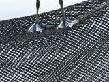 Coot, Abstract of a Coots Legs Perched on Plastic Mesh, London, UK Photographie par Elliot Neep