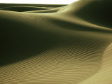 Sahara Desert, Rippling Effect of Wind, Algeria Fotografisk tryk af Richard Packwood Sahara Desert, Rippling Effect of Wind, Algeria Fotografisk tryk af Richard Packwood