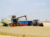 Combine Harvester Unloading Grain into Trailer, England Photographie par Martin Page