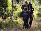 Indian Tourists Onboard an Elephant Looking for Tigers, Madhya Pradesh, India Photographie par Elliott Neep