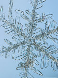Snowflake, Close Up Photographic Print by Edward Kinsman