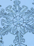 Snowflake, Close Up Photographic Print by Edward Kinsman