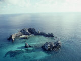 Devils Crown, Galapagos Islands Fotografisk tryk af Mary Plage