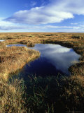 Peatland or Flow Country, Caithness, Scotland Photographie par Iain Sarjeant