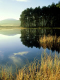 Loch Garten, Strathspey, Scotland Photographie par Iain Sarjeant