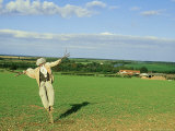 Scarecrow, North Norfolk Lámina fotográfica por Chris Knights