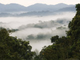 Nyungwe Forest Reserve, Rwanda Photographie par Ariadne Van Zandbergen