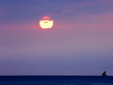 Dhow at Sunset in the Indian Ocean, Zanzibar Photographie par Ariadne Van Zandbergen