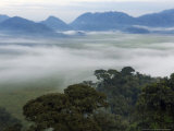 Nyungwe Forest Reserve, Rwanda Photographie par Ariadne Van Zandbergen