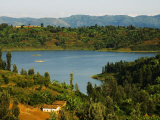 Cultivation on the Shores of Lake Kivu, Rwanda Photographic Print by Ariadne Van Zandbergen