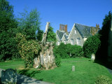 Remaining Stump from Gilbert Whites Famous Yew, Selborne Churchyard Photographic Print by David Tipling