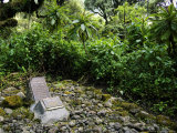 Dian Fosseys Grave at Karisoke Research Centre, Volcanoes National Park, Rwanda Photographie par Ariadne Van Zandbergen