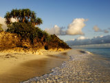 Beach, Zanzibar Photographie par Ariadne Van Zandbergen