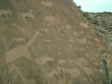 Bushmen Rock Engravings, Twyfelfontein, Namibia Photographic Print by Steve Turner