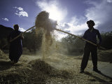 People Working, Tibet Posters par Michael Brown