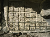 Leaves Rest in Front of Mayan Art, Mexico Posters by Michael Brown