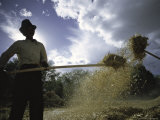 Man Working, Tibet Prints by Michael Brown