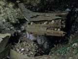 Skulls and Boat Remains, Indonesia Prints by Michael Brown