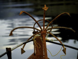 Red Boat Anchor, Chile Photo by Michael Brown