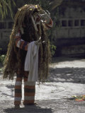 Dragon Costume, Indonesia Photo by Michael Brown
