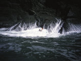 Sea Kayaking in Waves, USA Prints by Michael Brown