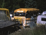 Car Cemetery, Colorado Photo by Michael Brown