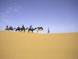 Camels in Caravan, Morocco Prints by Michael Brown