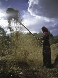 Woman with Straw, Tibet Poster par Michael Brown