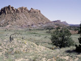Desert Landscape, USA Posters par Michael Brown