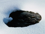A Creek Seen Through a Whole in the Snow, Colorado Prints by Michael Brown