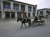 A Carriage, Tibet Prints by Michael Brown