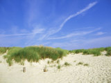 Beach and Dunes with Marram Grass, Dorset, UK Photographic Print by Ian West