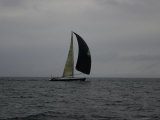 Sailboat, Ticonderoga Race Posters par Michael Brown