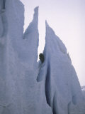 Southside of Everest, Nepal Posters by Michael Brown
