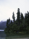 Calm Lake with Trees, Chile Prints by Michael Brown