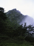 Green Trees with Steep Rock, Chile Print by Michael Brown