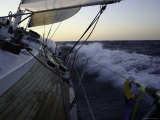 Michael Brown - Sailboat in Rough Water, Ticonderoga Race - Reprodüksiyon