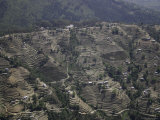 Village Landscape, Nepal Affiche par Michael Brown