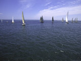 Sailboats in Ocean, Ticonderoga Race Print by Michael Brown