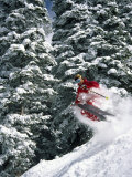 Skier in Red with Trees Photographic Print