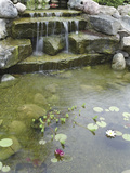 Pond with Waterfall Photographic Print