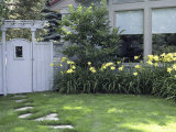 Path to the Garden Gate Lined with Daylilies Impressão fotográfica