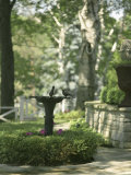 Birdbath and Planter Photographic Print