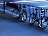 Two Bicycles Photographic Print