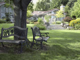 Benches by a Tree Photographic Print