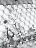 Basketball Player Photographic Print