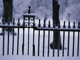 Metal Fence in a Snow Covered Landscape Photographic Print