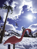 Low Angle View of a Swan Sculpture in The Snow Photographic Print
